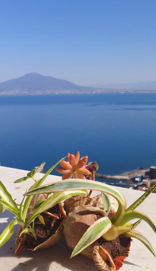 Dimora Del Conte Sorrento Coast Seaview Lejlighed Vico Equense Eksteriør billede